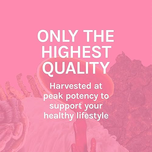 Miniatura 8 de Host Defense Extracto de cola de pavo  Suplemento de apoyo para la salud digestiva y la respuesta inmune  Suplemento de hongos para el microbioma