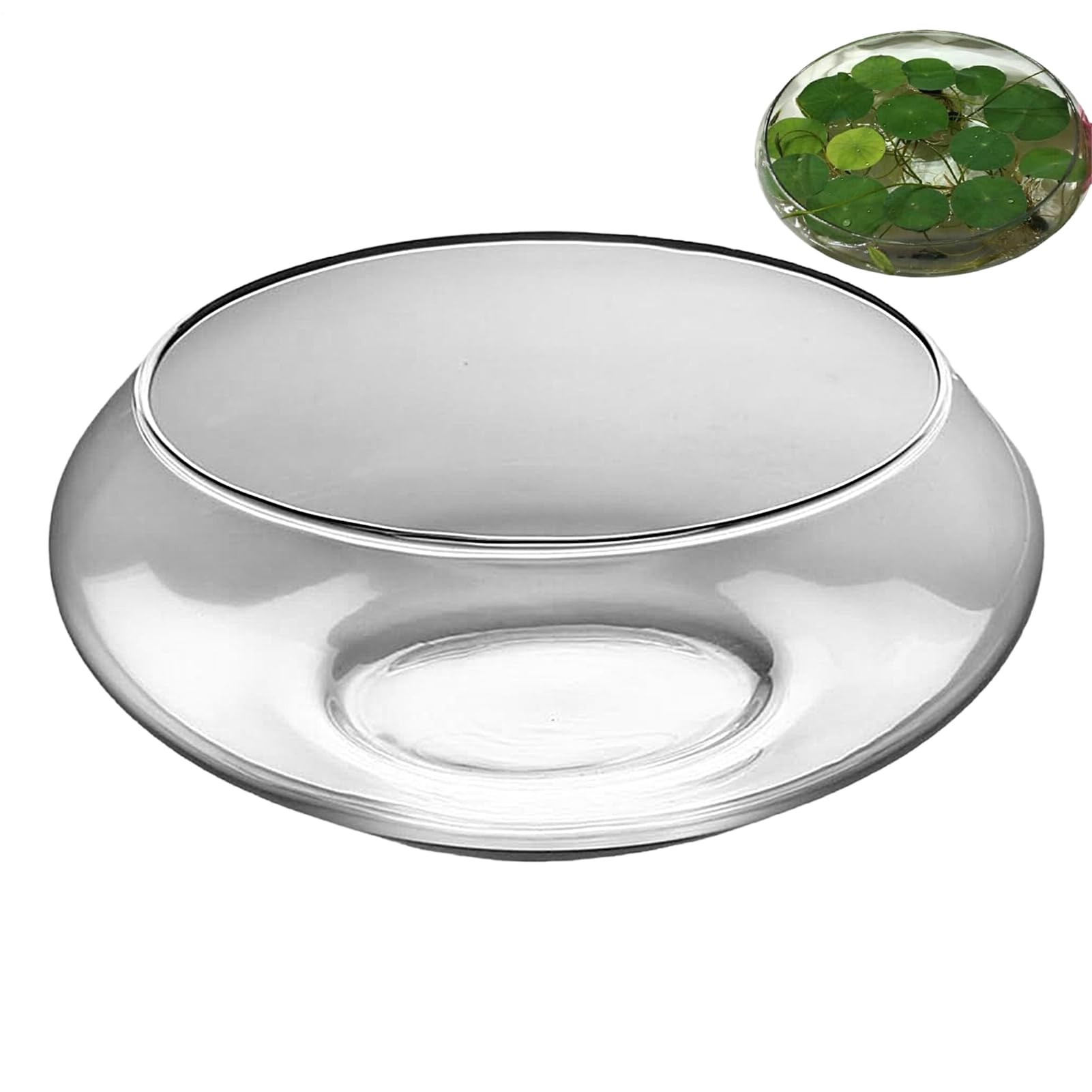 Pecera de, Maceta Grande para suculentas, Cuenco y Ancho para decoración de Interiores del hogar, centros de Mesa, Plantas, bonsái, suculentas, exhibición de Flores
