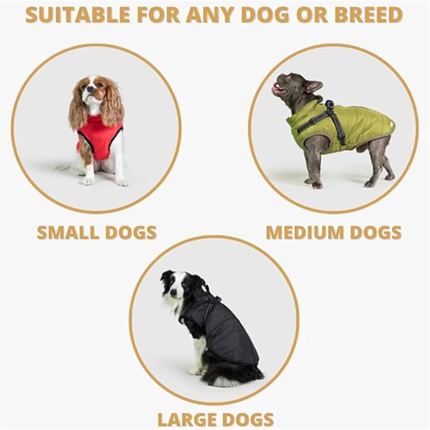 3 in 1 Winter Jacket, Dog Jacket, Waterproof Windproof Dog Jacket with Zipper, Dogs Winters Coat, for Small Medium Large Dogs (Blue,Large)