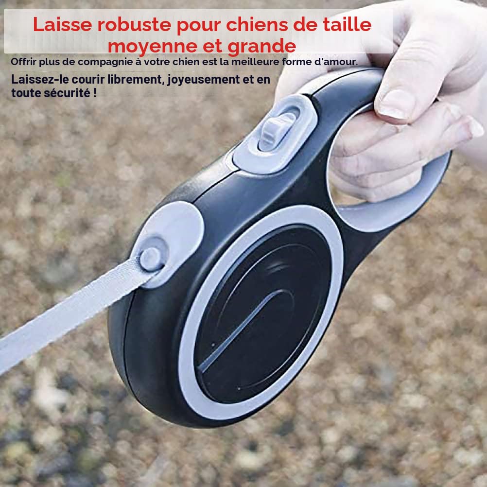 Laisse rétractable en Nylon avec chaîne Anti-Mastication, très résistante pour Chiens de Taille Moyenne et Grande 8 m, Gris