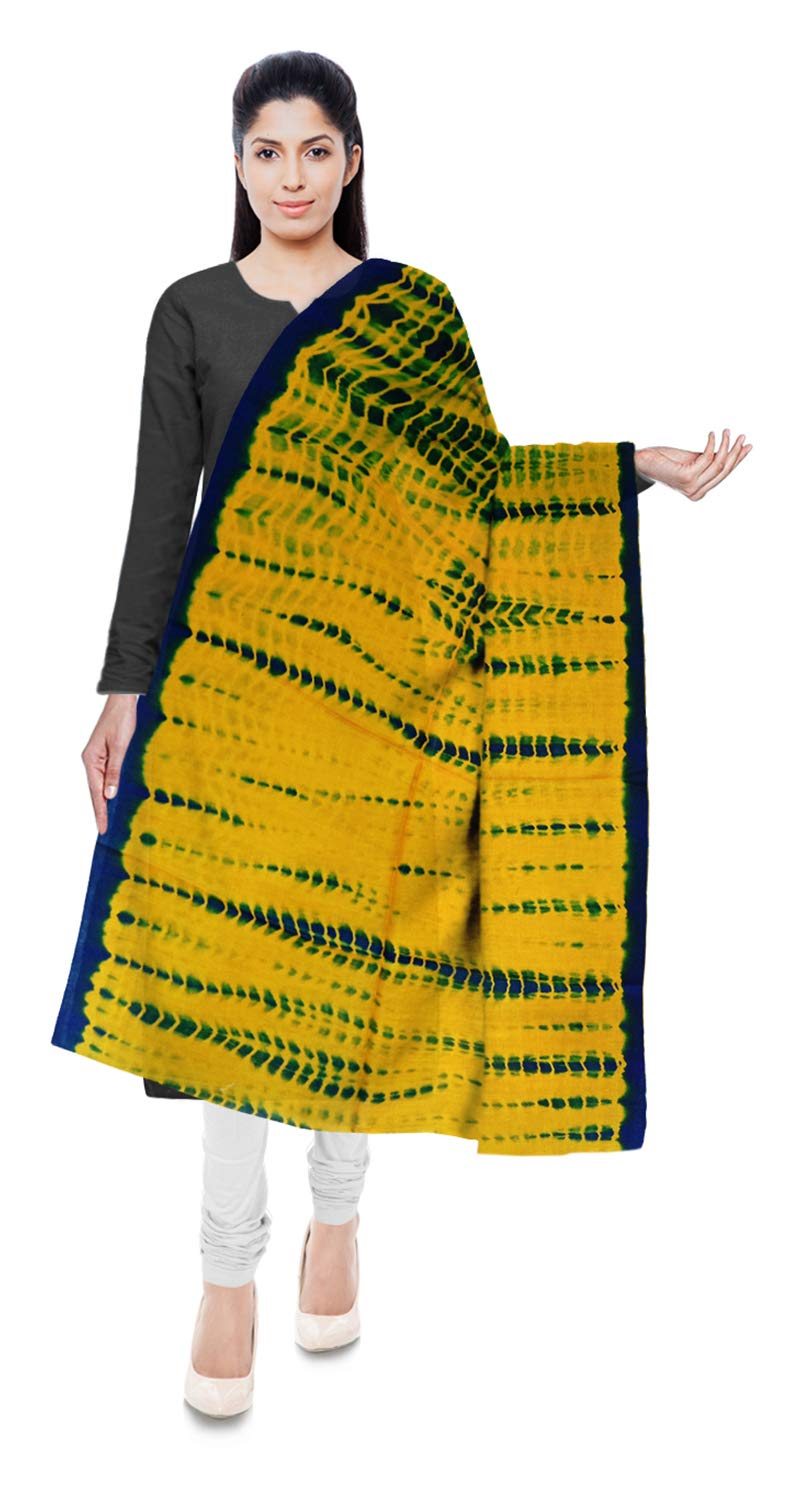 mahavir enterprises jammu Women's Stole (Multi-Colored)
