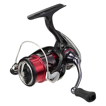 Amazon.com : DAIWA LT1000S-P Spinning Reel 24 Tsukiyobijin X