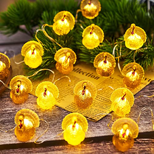 Nosda Cradoe Thanksgiving Decorative Fairy Turkey String Lights Novelty Fall Garland Lights Rope 8Ft 20Leds Usb Or Battery Operated With Remote For Indoor Decoration Autumn Christmas Home Bedroom Party Tree Decor thumb #7