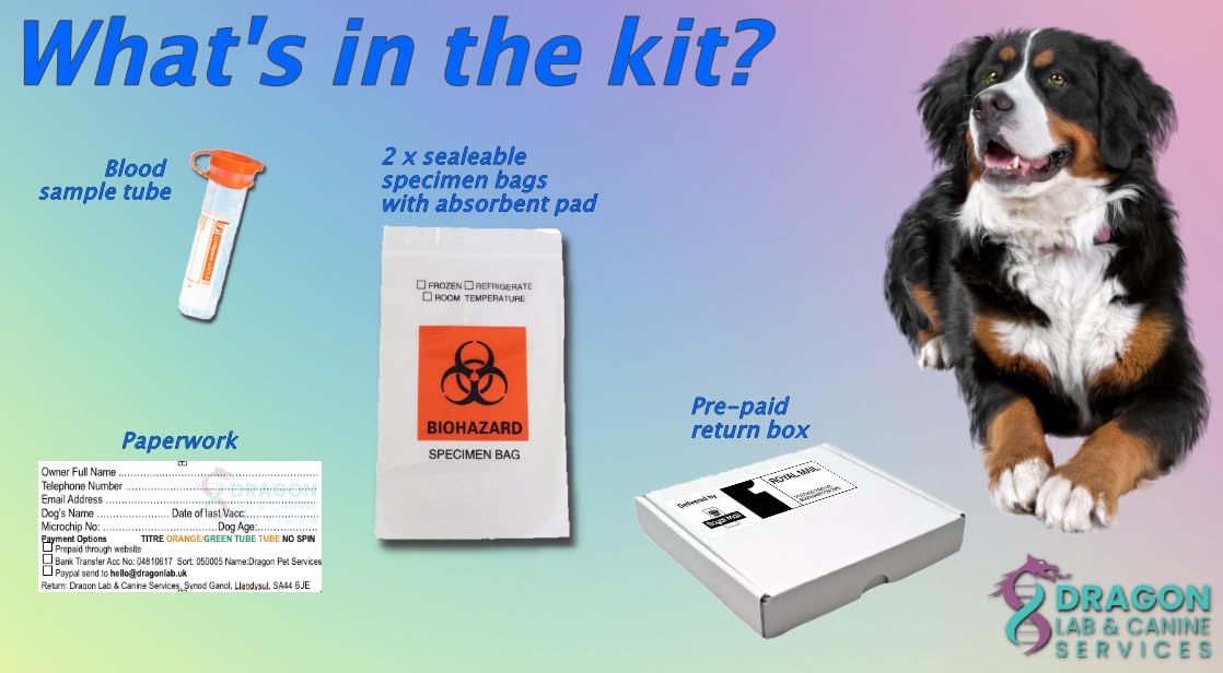 Dragon Lab & Canine Lungworm Test Kit Blood Screening for Dogs, White - Image 3
