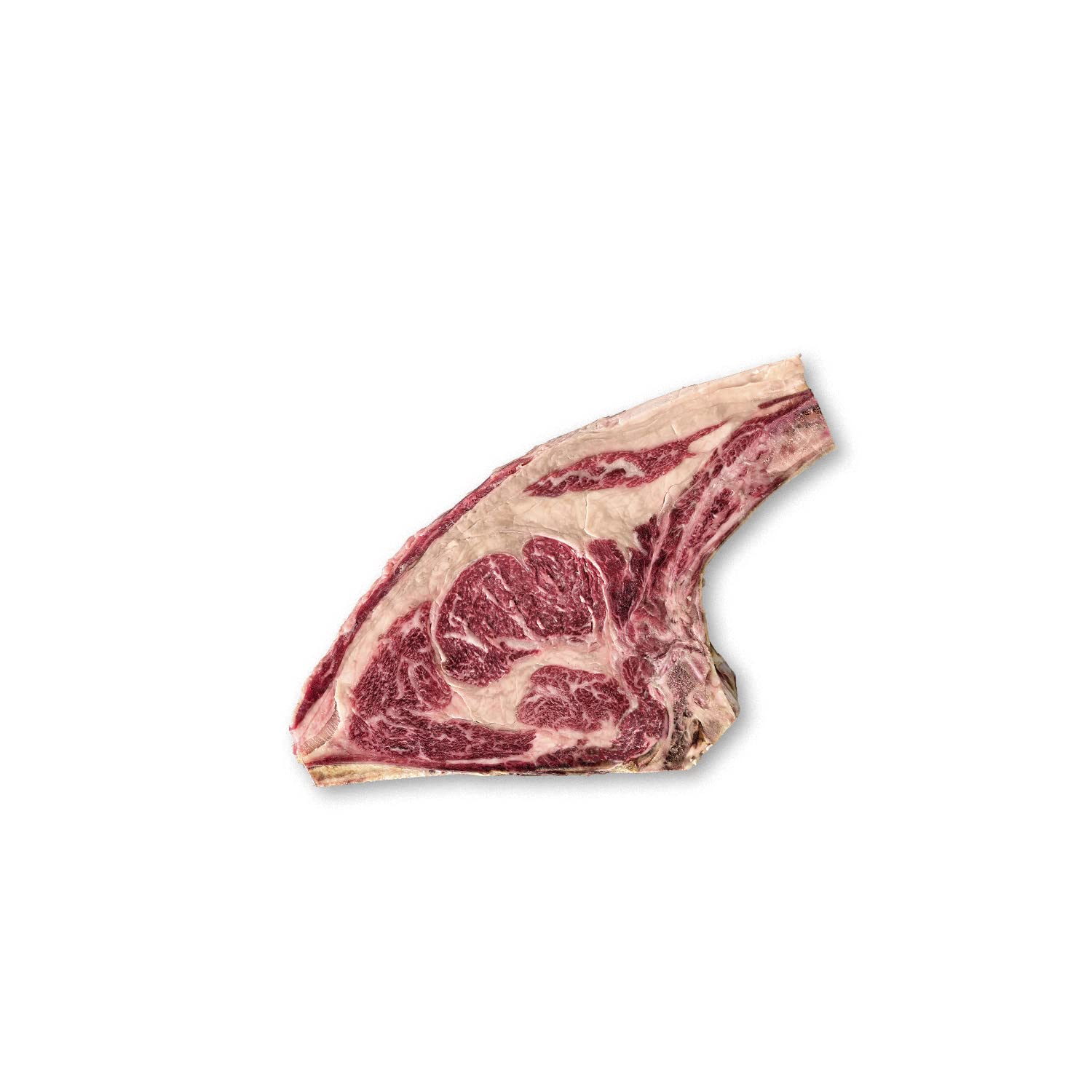 Carnicería Premium Cosecha Privada - Envío 24 h - Chuletón, Lomo, Solomillo, Entrecot, Buey, Lechazo, Cochinillo, Hamburguesas - Carne Fresco (Chuletón de Buey El Capricho, 1,5 kg)
