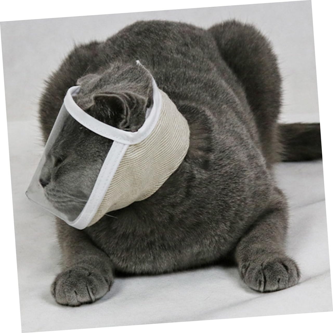 Toddmomy 6 Piezas Casco Protector para Gatos bozal de Malla de Gato Cubierta de Gato bozal portátil para Gatos bozal portátil para Gatitos cosmético Accesorios Venda Boca de Gato Novio