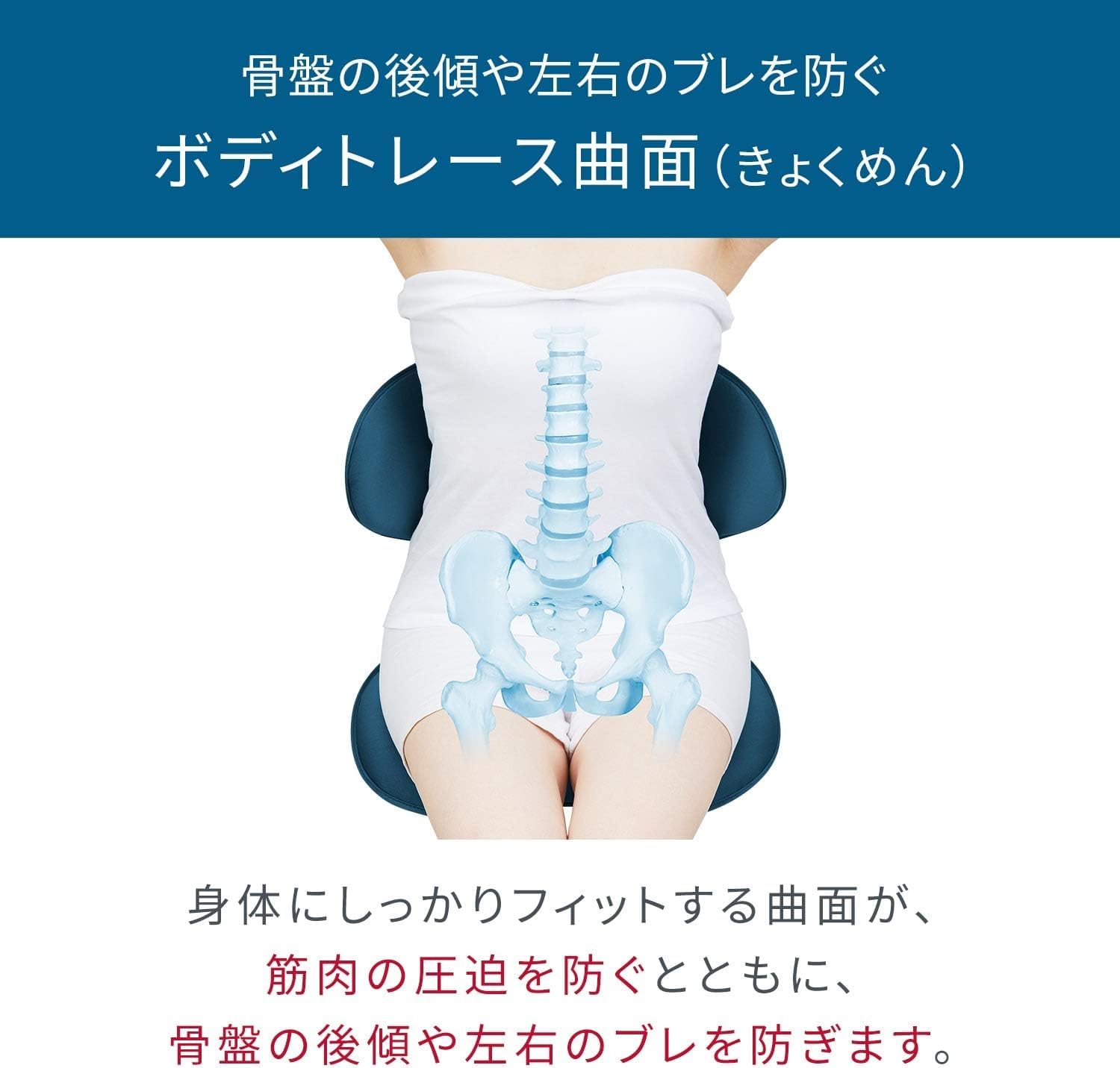 骨盤サポートチェア 座椅子 スツール ミーティングチェア Amazon.co.jp: 骨盤サポートチェア 座椅子 スツール ミーティング