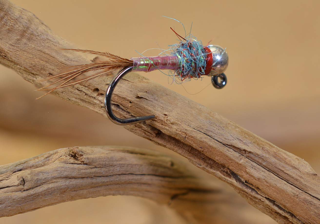 Region Fishing Tungsten Bead Rainbow Warrior Jig Fly - Euro Nymph - Hanak Hooks - 6ct Pack (Hook #12)