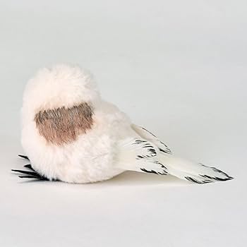 ここたんページ〜シマエナガ〜 ここたん様専用ページ〜シマエナガ〜