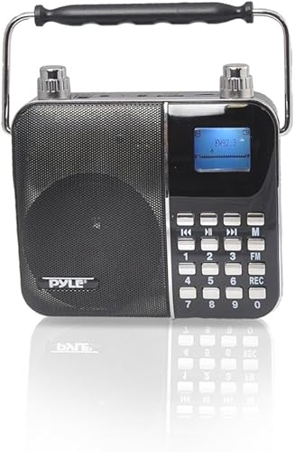 Sistema de altavoces PA de radio portátil, máquina de karaoke portátil con banda de cintura con micrófono para auriculares, batería recargable,