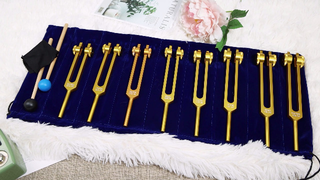 Amazon.com: Chakra Tuning Forks Set, 7 Chakra+1 Soul Purpose