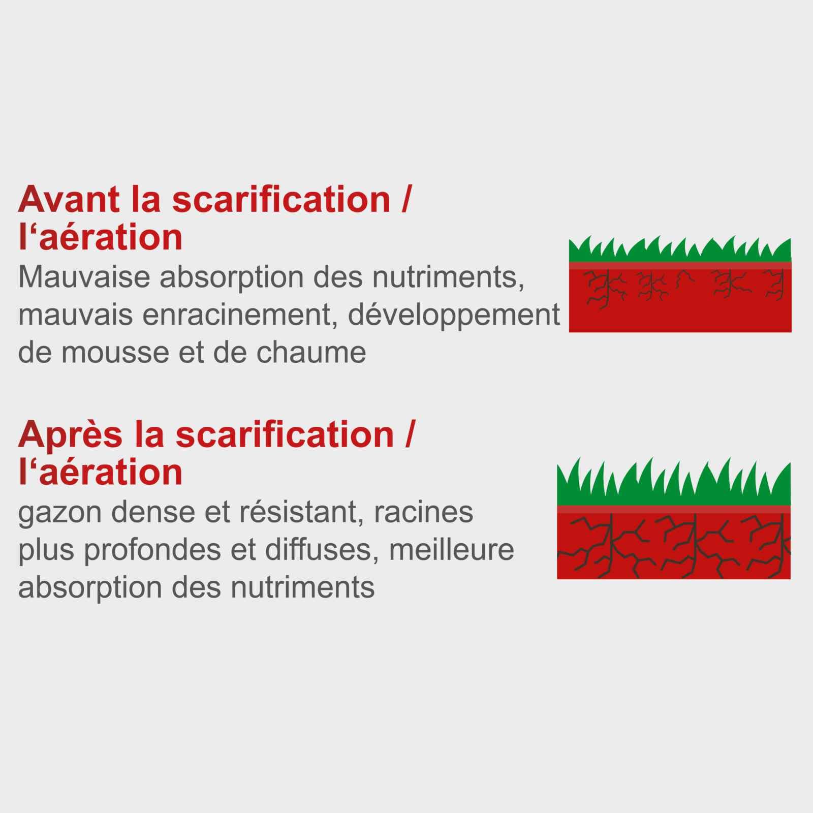 Scheppach Scarificateur électrique SC32 | 1500W | Largeur de coupe 32cm | Bac 30 L | Réglage en hauteur 4 positions/jusqu'à 4mm | Arbre de scarification (16lames) et d'aération (20griffes) inclus