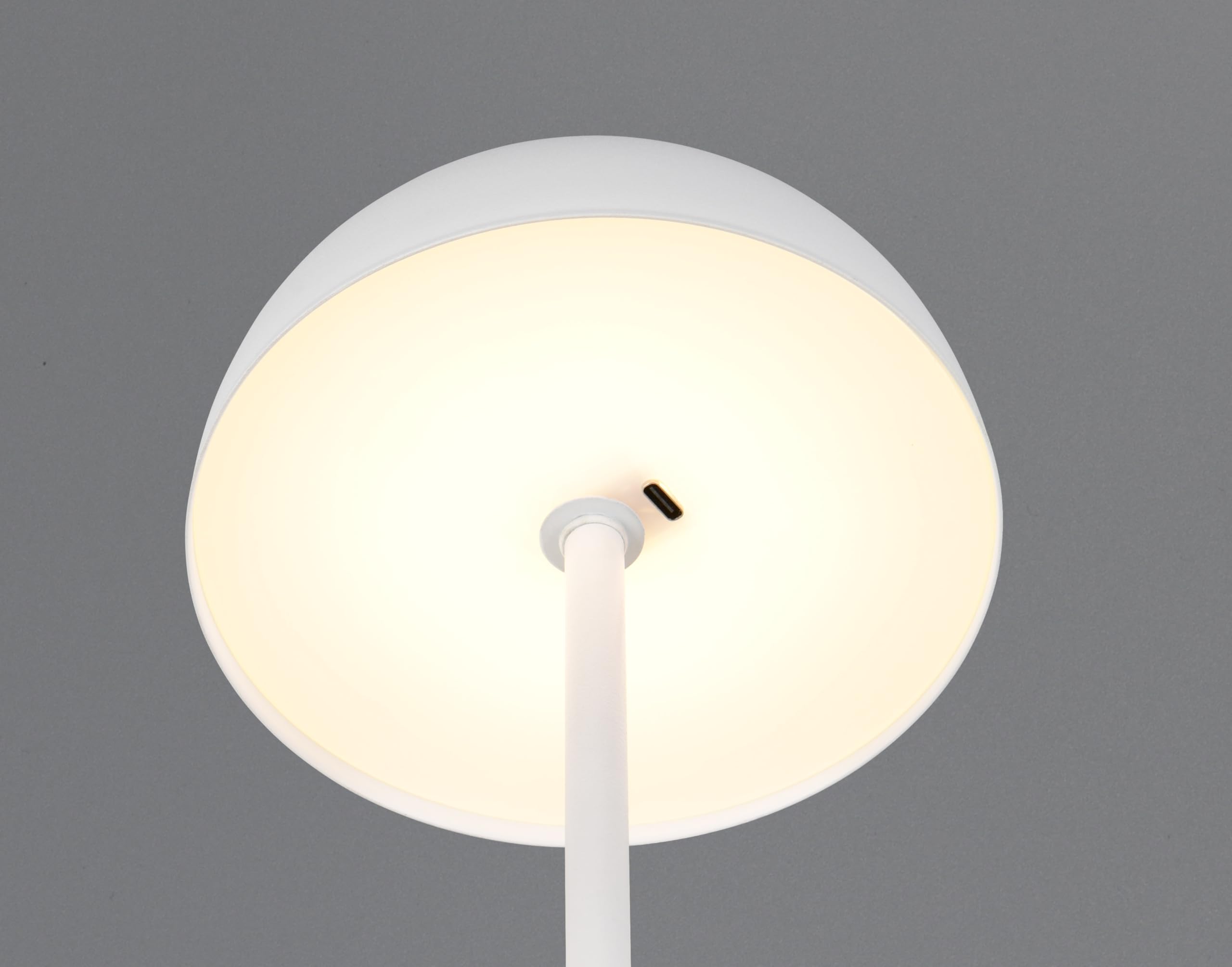 Reality Leuchten lampa stołowa LED Munoz R54891131, metal biały matowy, w zestawie 1,3 W LED, 4-krotny dotyk