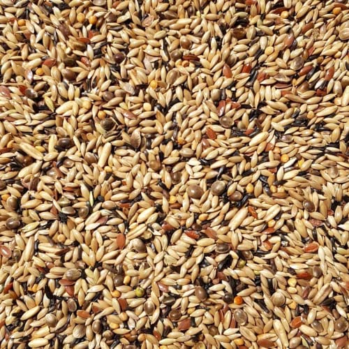 Kanarienvogel Futter 25 Kg
