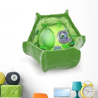 Wallmonkeys Biology Illustration Plant Cell Wall Decal Peel and Stick Educational Graphics (48 in H x 48 in W) WM263073