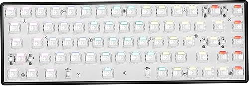 DrunkDeer G65 Rapid Trigger Mechanical Keyboard Magnetic Switch Gaming RGB Compact TKL 65% Size USB Wired 68 Keys Barebone No KeyCap Black