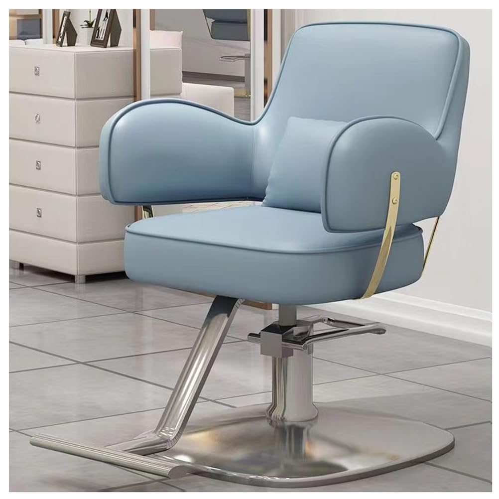 OZBMA Barber Chair,Salon Chair for Hair Stylist,Salon with Hydraulic Pump,360 Degree Swivel Stylist Chairs Footrest,Gray,D (Blue D)