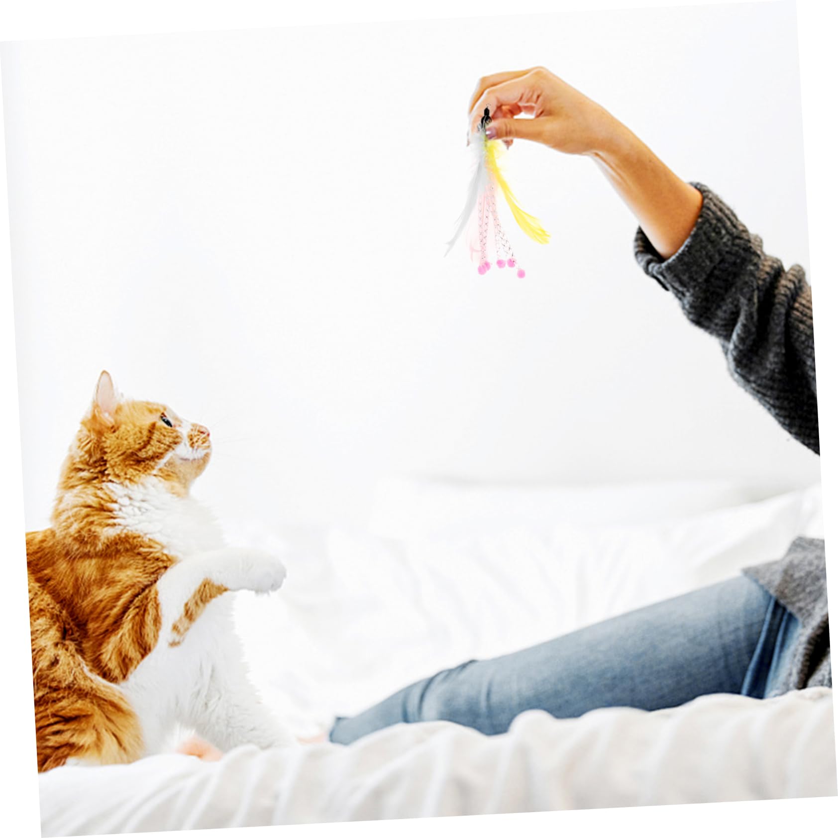 40pezzi Giochi Interattivi Con Piume Per Gatti Ricambi Per Bastoni Da Gioco Giocattoli Leggeri Per Divertire Gatti Indoor e La Noia