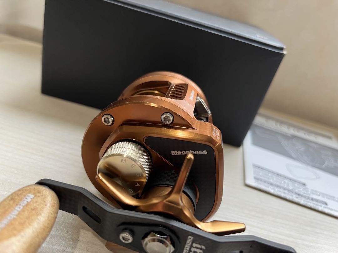 超希少メガバスLIN 10C