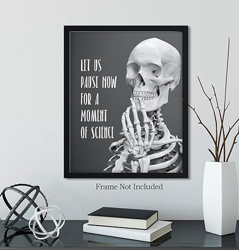 Miniatura 6 de Govivo Decoración de pared de juego de palabras de ciencia - Decoraciones de ciencia para aula para escuela secundaria - Arte de pared humorístico