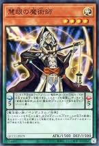 Amazon.co.jp: 遊戯王カード 慧眼の魔術師(スーパーレア