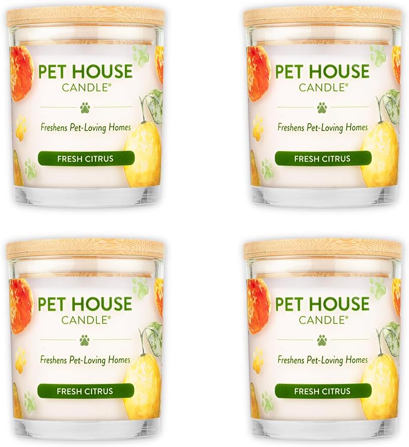 One Fur All Pet House Soy Candles, Clean Burning, Long Lasting, Plant-Based Pet Odor Candles, Lavender Green Tea, 4 Pack