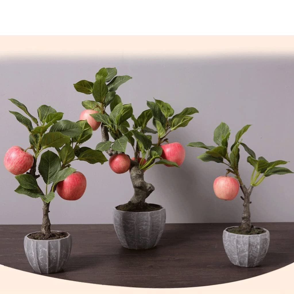 terrakotta pflanztopf groß 2er Blumentopf Groß 28x28 cm, 10 Liter, mit Untersetzer Terracotta main image 1
