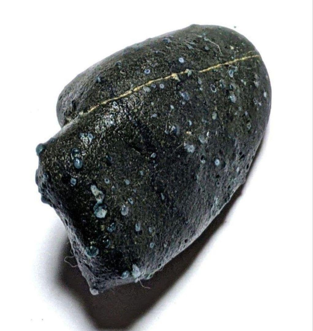 青森県産 今別町産 袰月産 舎利母石 原石 奇石 安山岩 子持ち石 一点物