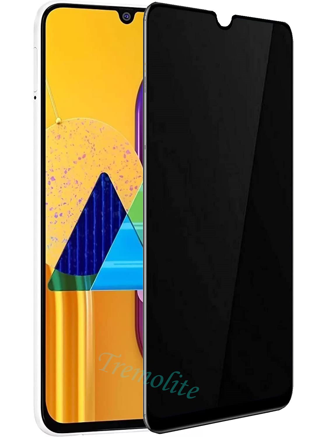Tremolite Samsung M31 Screen Protector, Premium Privacy Anti-Spy Tempered Glass Screen Protector for Samsung M31 (Black) (B09P218S2P) Amazon Price History, Amazon Price Tracker