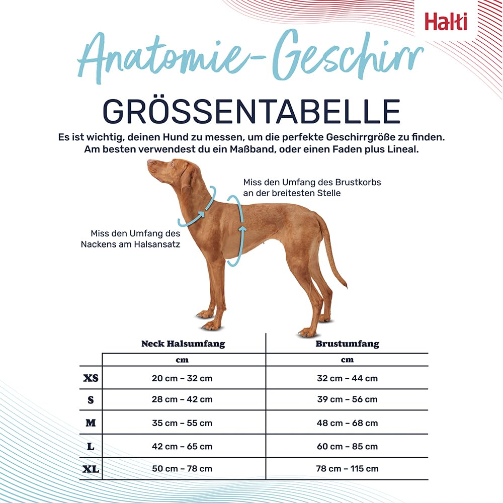 HALTI Anatomy Hundegeschirr mit Griff – Bewegungsfreiheit für deinen Hund. 3 Verbindungspunkte für die Leine, Neoprenpolsterung, verstellbar und reflektierend (Größe L, Grün)