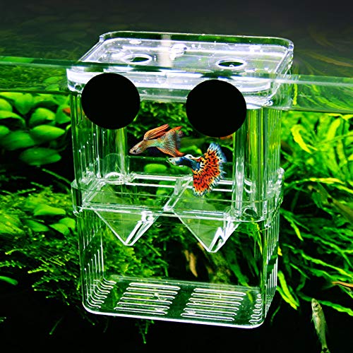 FGXY Aquariumvissen Fokdoos, Aquarium Fokken Isolatie Box, Multifunctionele Fokken Incubator Doos, Fokkerij Incubator… - Afbeelding 8