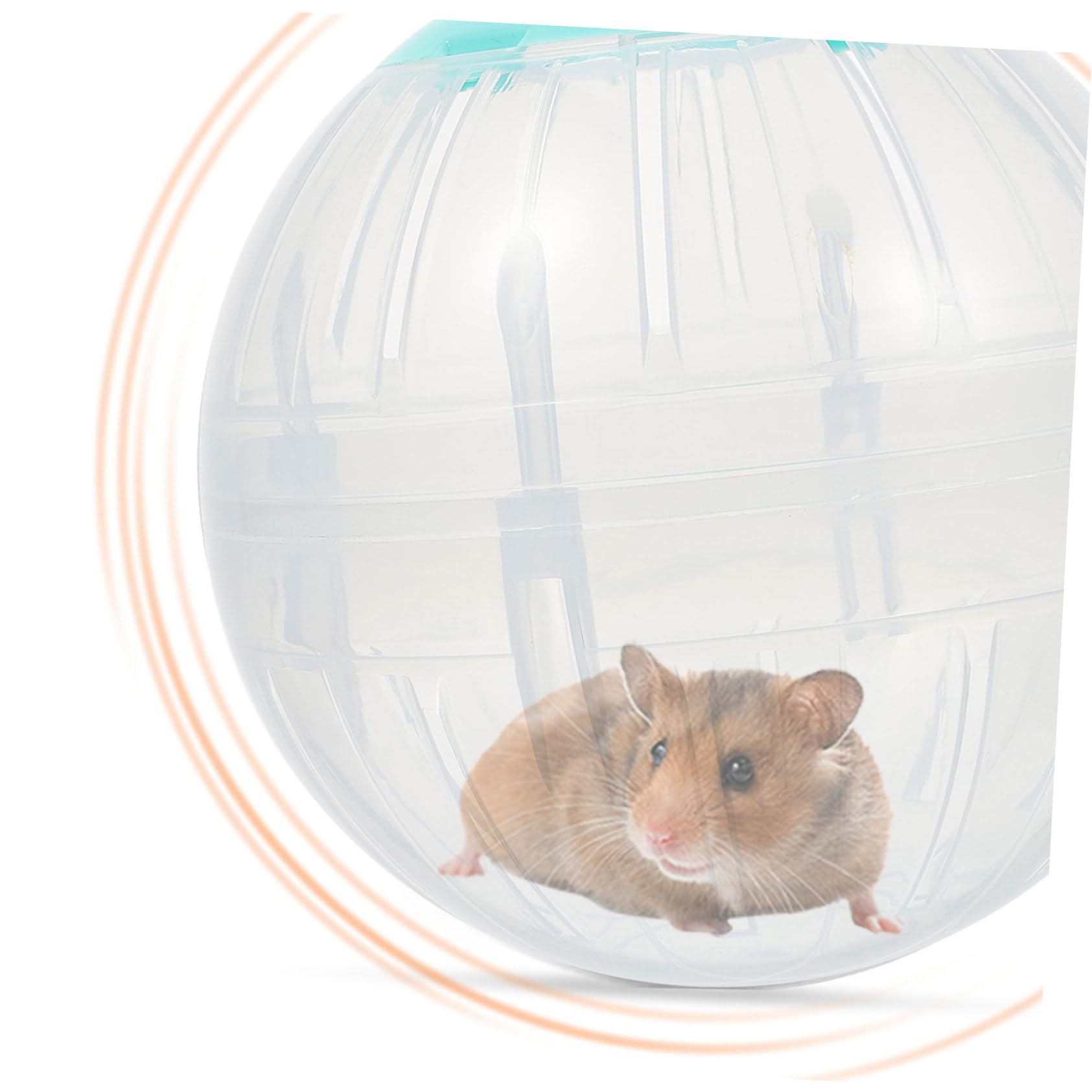 4stücke Hamster Übungsball Transparente Laufkugeln Für Kleine Haustiere Langlebig Und Tragbar Für Hamster Mäuse Und Kleine Igel Fitness Spielzeug