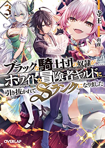 オライリー 無料電子書籍 ブラックな騎士団の奴隷がホワイトな冒険者ギルドに引き抜かれてSランク バイ