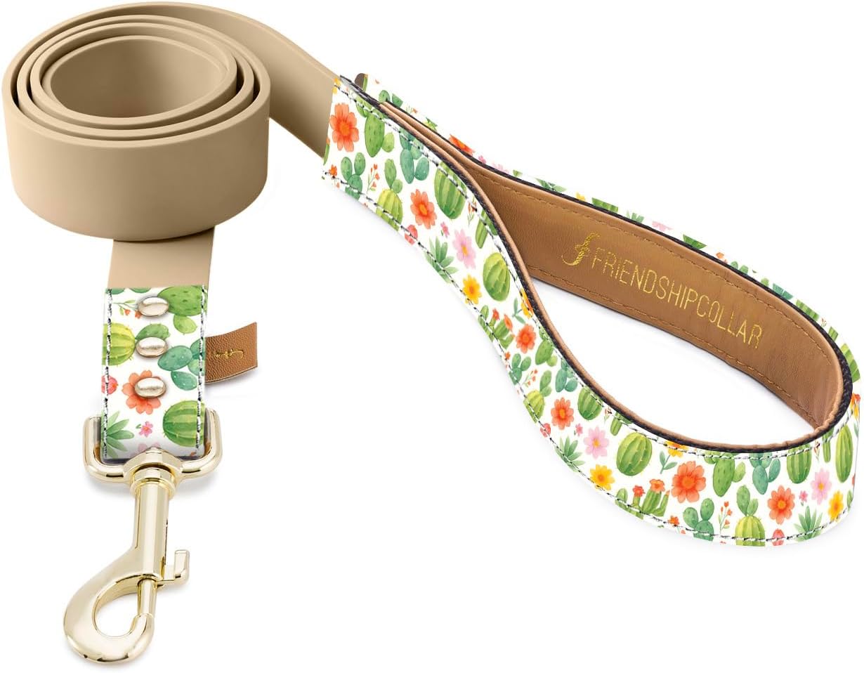 FriendshipCollar CACTUS CUTIE CAT COLLAR | Matching Cat Collar and Bracelet Set for Owner & Pet | Friendship Jewelry Set for Cat Mom and Cat | Cute Coordinated Pet Accessories | Gift for Cat Lovers | Vegan Leather