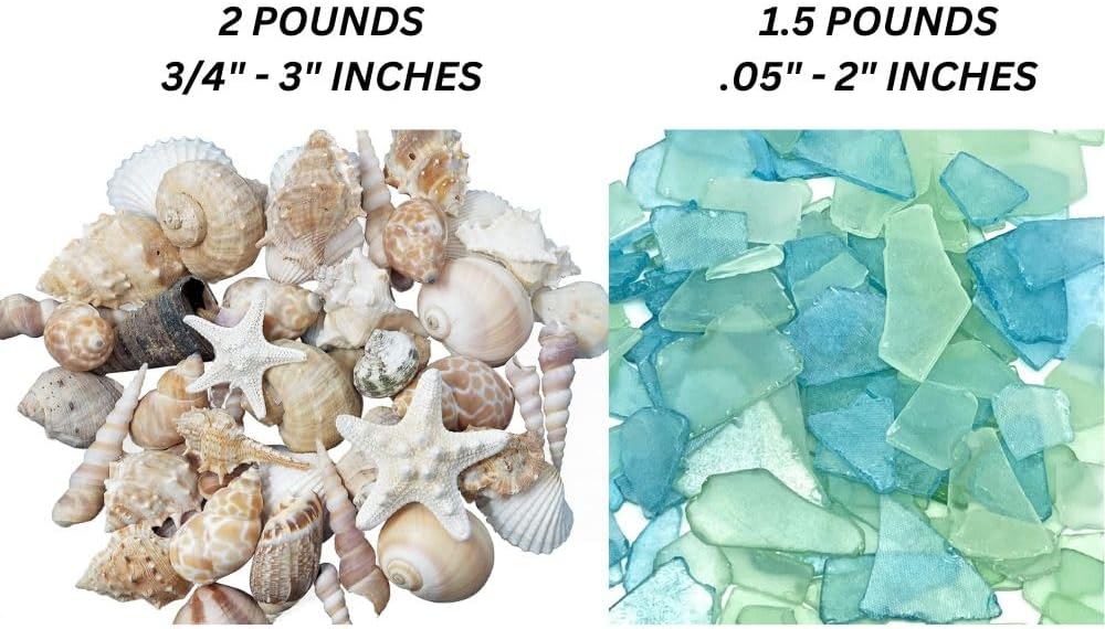 Tumbler Home Shells in Whites, Tans & Pinks & Frosted Sea Glass in Aqua & Mint, Perfect for Crafts, Decor, Weddings & Vase Filler