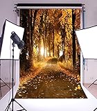Laeacco 5x7ft Autumn Grove Path Trees Leaves Forest Vinyl Photography Backdrop Outdoors Camera Shooting Realistic Effective Children Adults Portraits 1.5x2.2m Background Studio Props