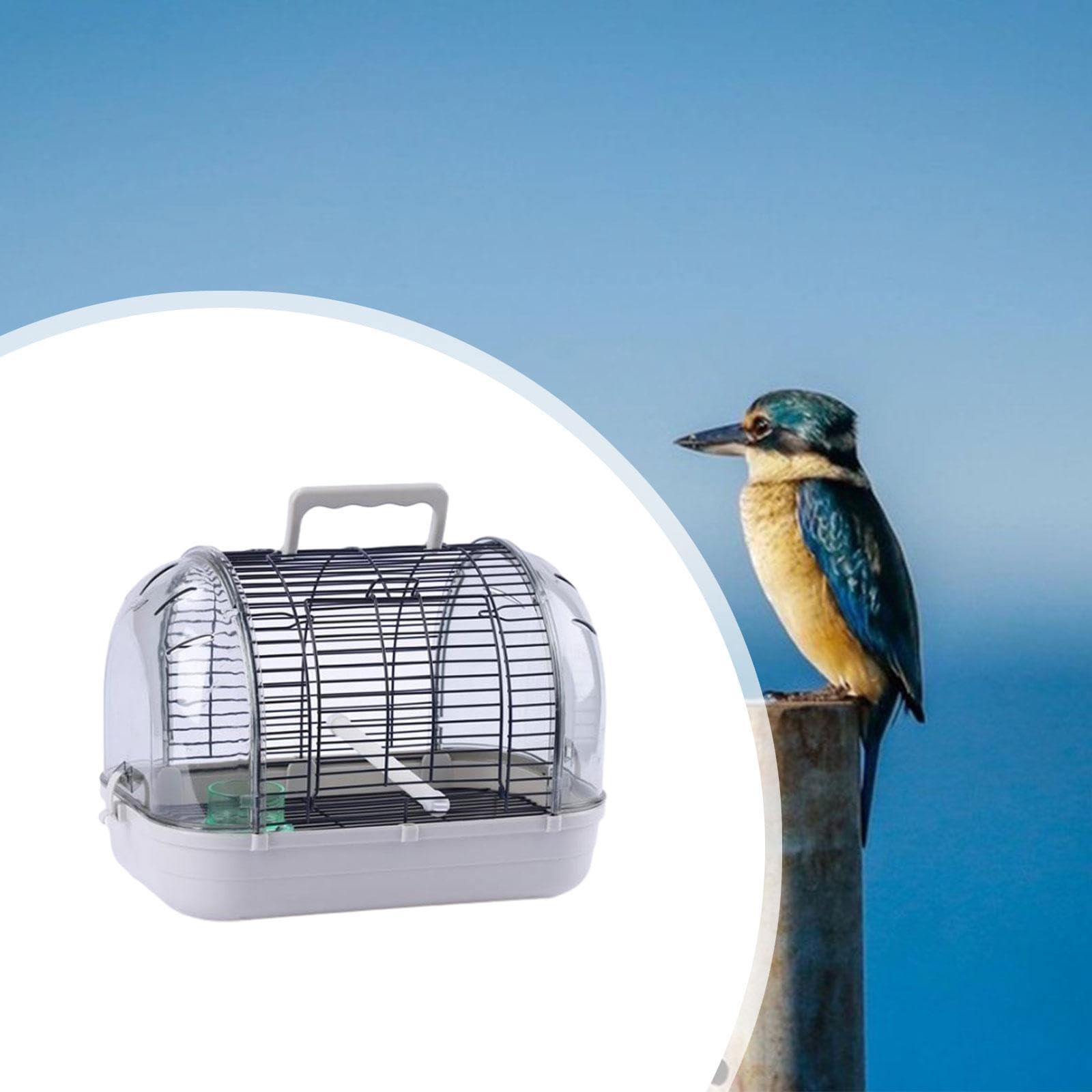 Fenteer Transportador de Aves para Loros Y Periquitos, Diseño Práctico, L Gray