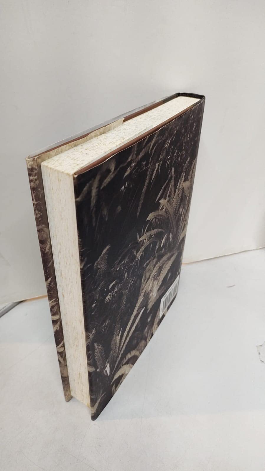 The Complete Poems & Lyrics