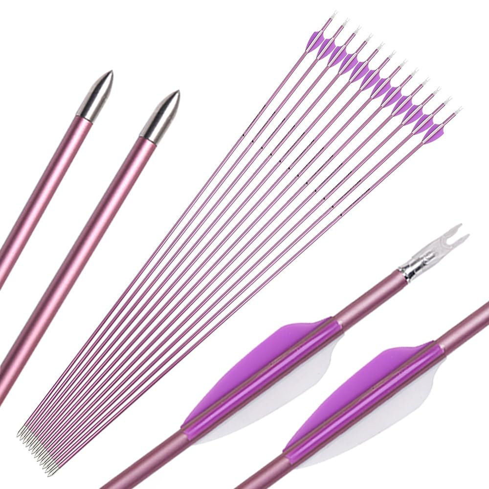 ETHZZLE Carbon Pfeile Set - 12 Stück Jagdpfeile Spine 500-1000 Für Bogenschießen