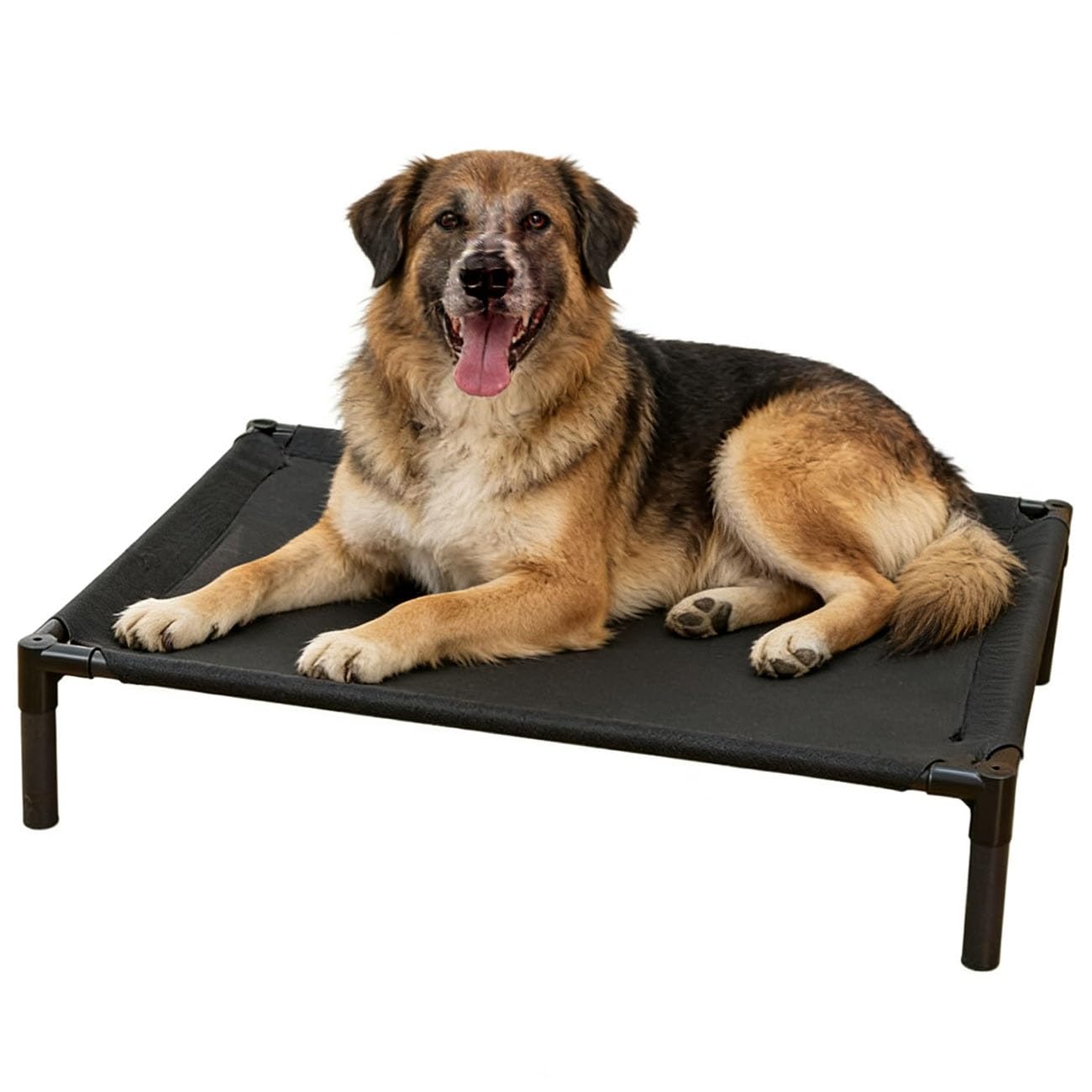 Amazon | 犬用ベッド 中型犬用ベッド 犬 クッション 噛んでも破れない