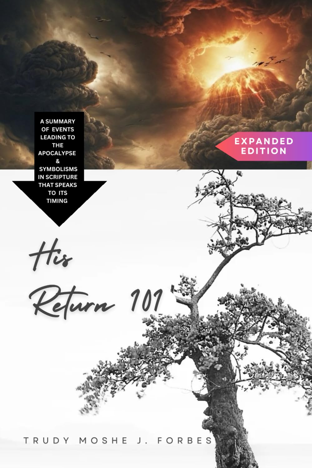 His Return 101: The Apocalypse - End Time Prophecies based on The Book of Revelation [Expanded Edition]
