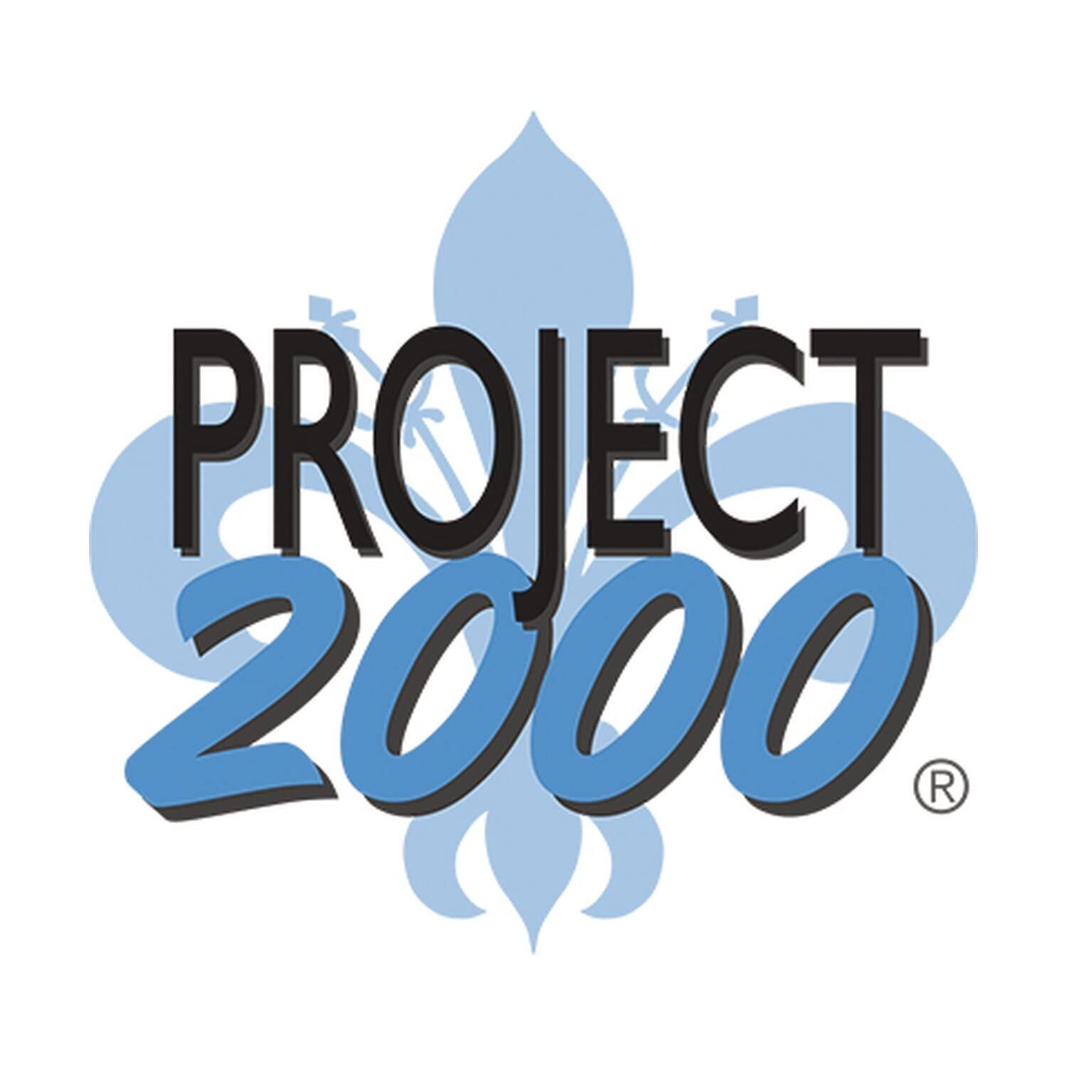 Project 2000 Marchepied basculant électrique 550