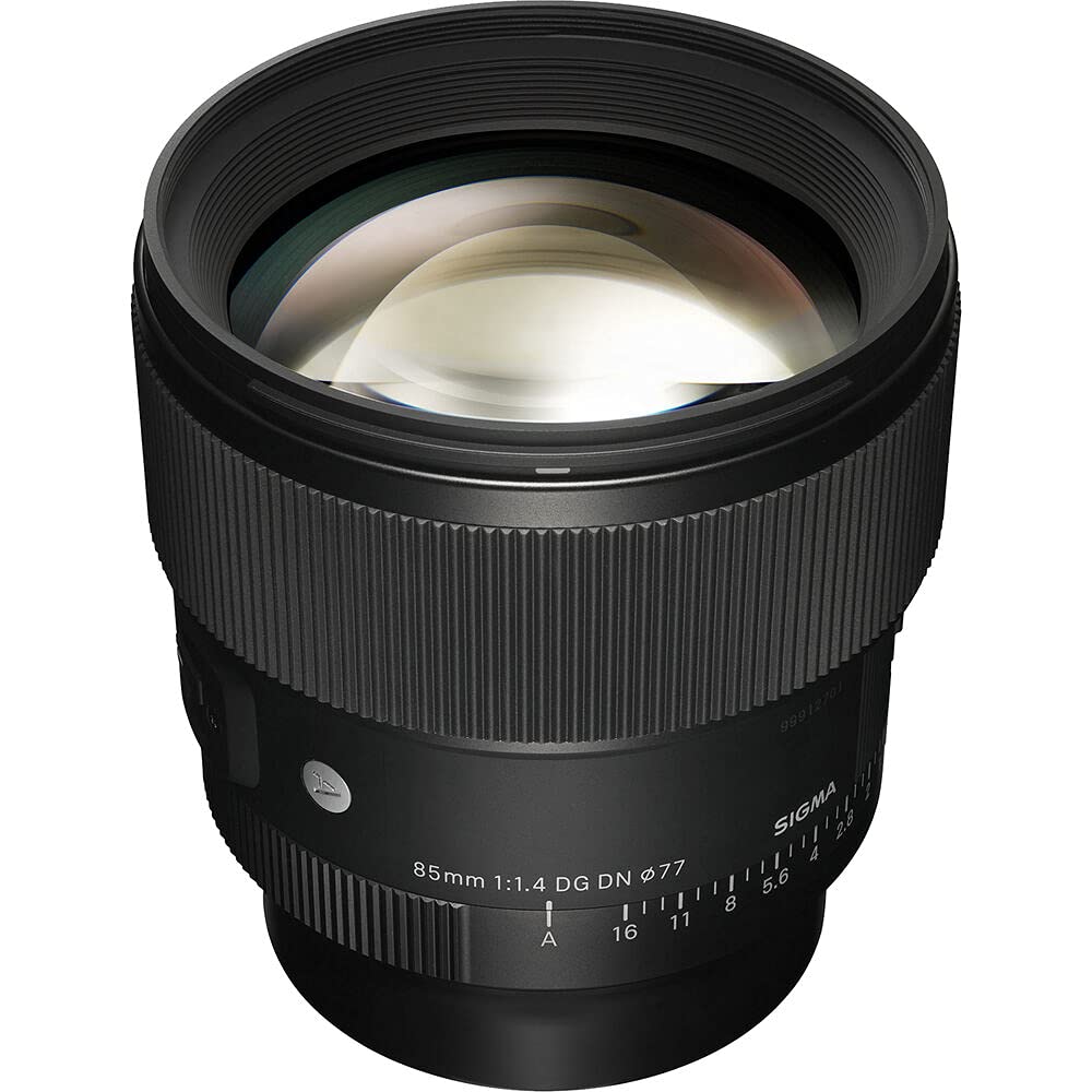 Amazon.com: Sigma 85mm f/1.4 DG DN Art Lens for SonyE (322965