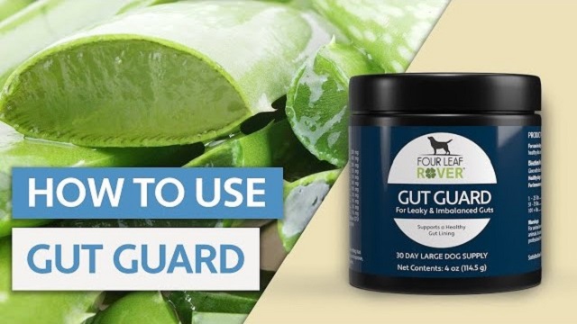 Amazon.com : Four Leaf Rover Gut Guard - Slippery Elm for Dogs, L