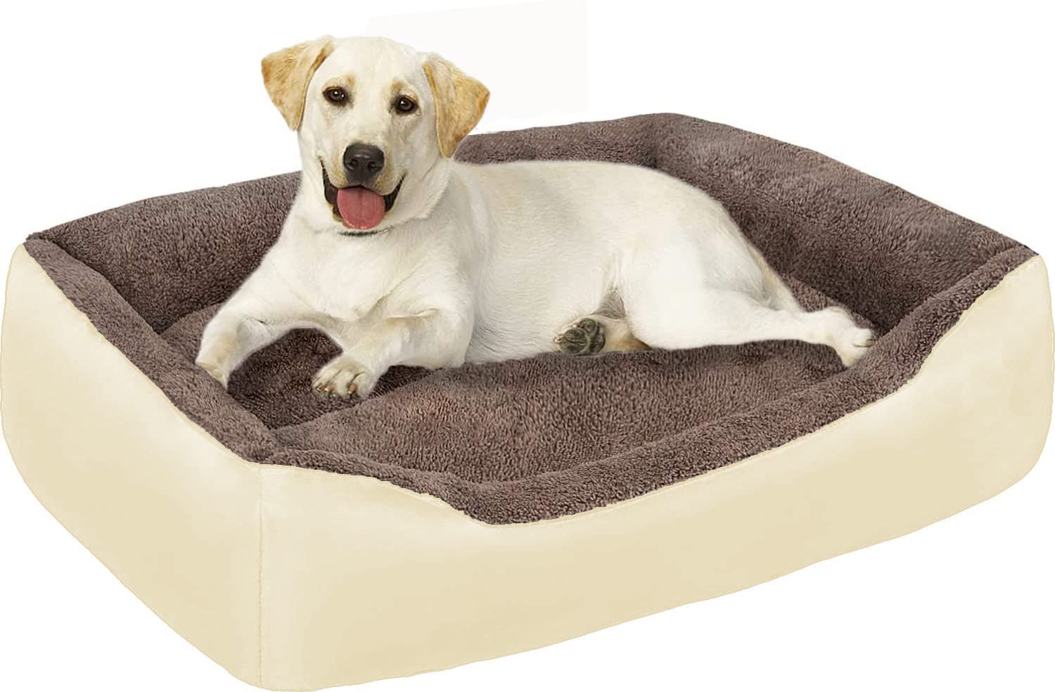 Do Puppies Need Soft Beds