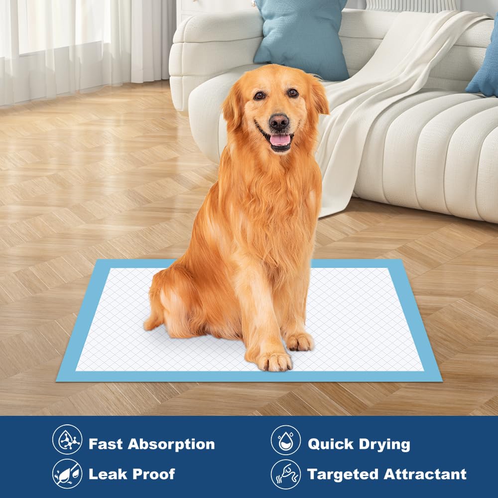 50 Empapadores Desechables, Almohadillas de Entrenamiento para Cachorros, Superabsorbentes, a Prueba de Fugas, de Secado Rápido, Extragrandes, para Entrenamiento en Jaulas y Uso en Interiores, XL