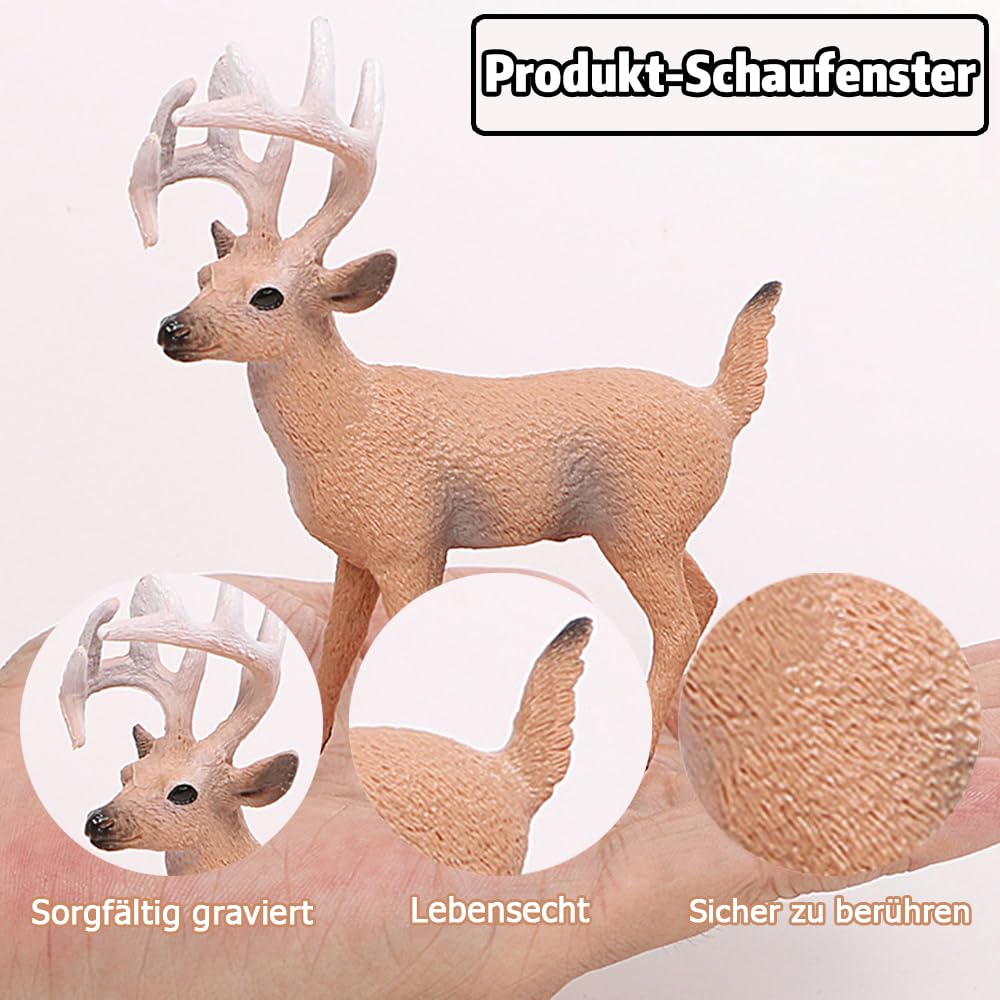 Een Hert Met Witte Staart Dat in Een Groot Grasland in Canada Wordt Gesignaleerd Stock