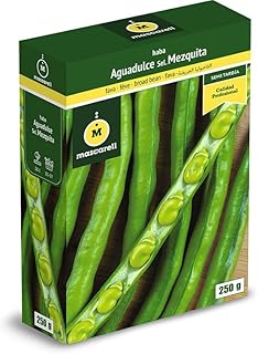 Mascarell Semillas, HABA AGUADULCE MEZQUITA, Semillas Leguminosas, Fácil de Cultivar en Casa, 250 G.