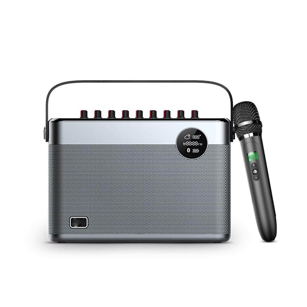 DFHBFG Speaker Handheld Microphone Echo Bass Treble Subwoofer Sound Power Amplifier Voice Changer, 320*230*113mm
