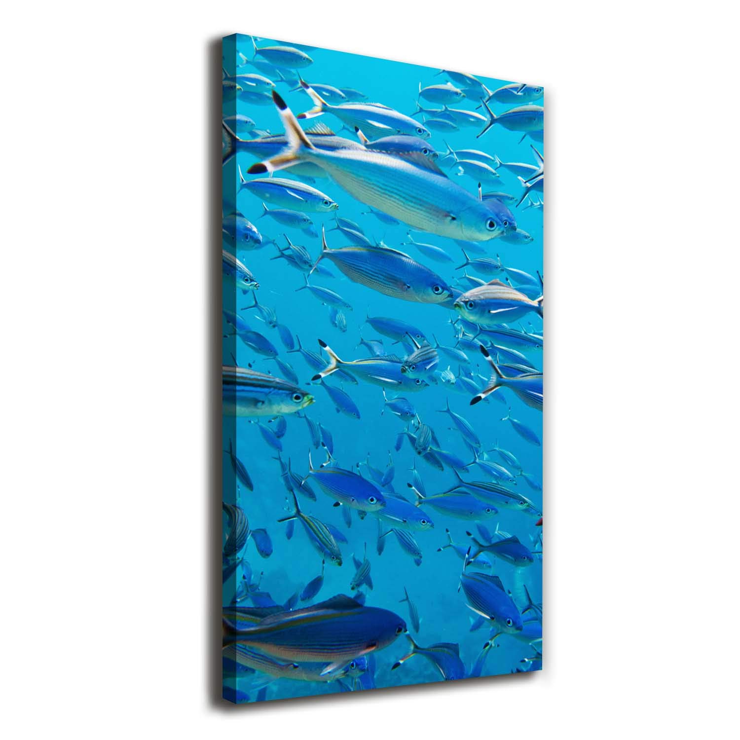 Tulup Cuadro en Lienzo - 50x100 - Pintura - impresión Decorativa para la Pared - Imagen Decorativa - Impresión de Lienzo - Animales - Azul - Peces De Coral